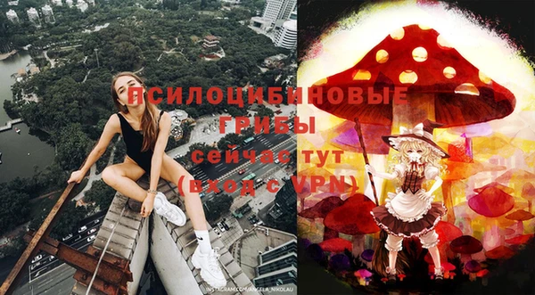 амф Белокуриха