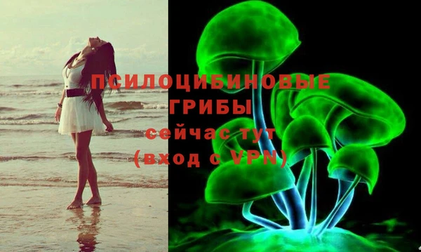 мяу мяу мука Белоозёрский