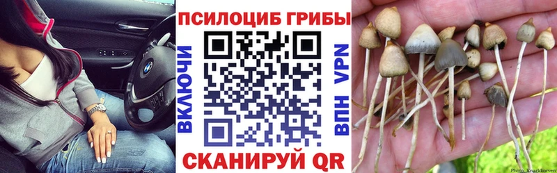 hydra ссылка  Ефремов  Галлюциногенные грибы мицелий  где найти наркотики 
